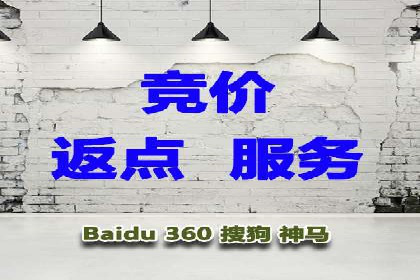 成功sem公司的策略与执行